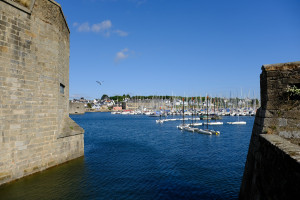 DSCF0220.JPG