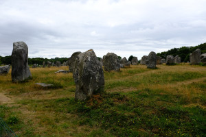 DSCF0223.JPG