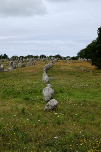 DSCF0227.jpg