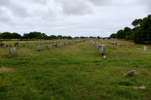 DSCF0228.jpg