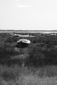 DSCF0262.JPG