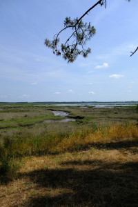 DSCF0267.JPG