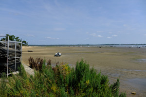 DSCF0269.JPG