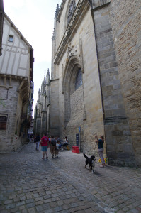 IMGP0755.JPG