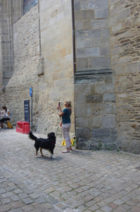 IMGP0756.JPG