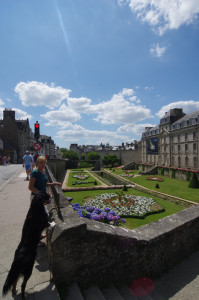 IMGP0763.JPG