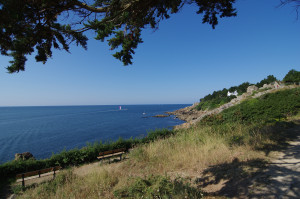 IMGP0770.JPG
