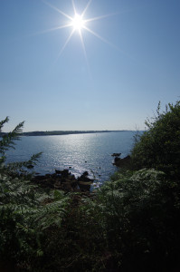 IMGP0774.JPG