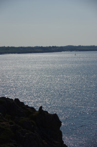 IMGP0779.JPG