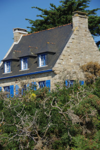 IMGP0780.JPG
