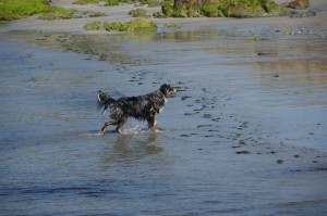 IMGP0805.JPG