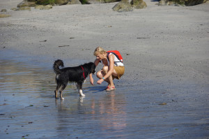 IMGP0808.JPG