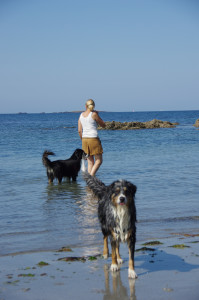 IMGP0810.JPG