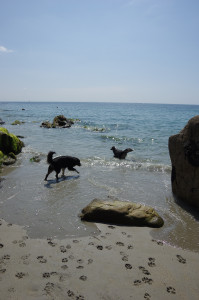 IMGP0817.JPG