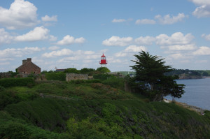 IMGP0819.JPG