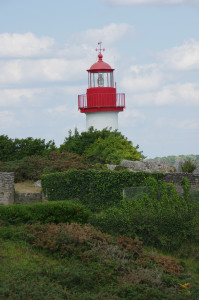 IMGP0820.JPG