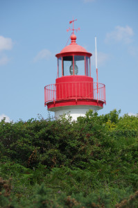 IMGP0823.JPG