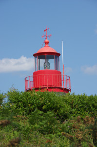 IMGP0824.JPG
