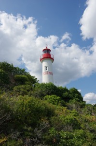 IMGP0825.JPG