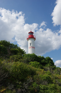 IMGP0826.JPG