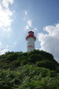 IMGP0828.JPG