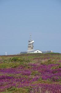IMGP0846.JPG