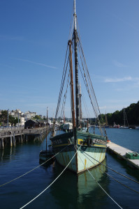 IMGP0917.JPG