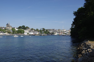 IMGP0922.jpg