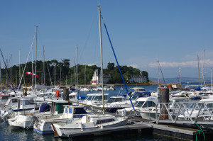 IMGP0924.JPG