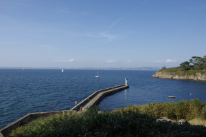 IMGP0925.jpg