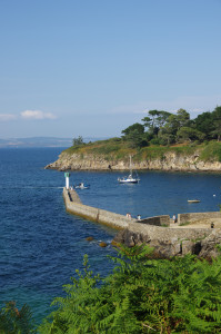 IMGP0926.JPG