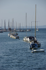 IMGP0934.JPG