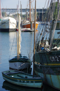 IMGP0938.JPG
