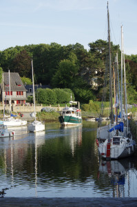 IMGP0941.jpg