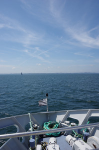 IMGP0956.JPG