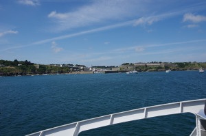 IMGP0959.JPG