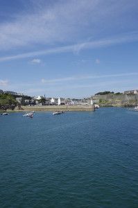 IMGP0962.jpg