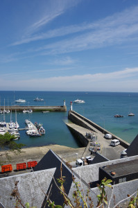 IMGP0972.JPG