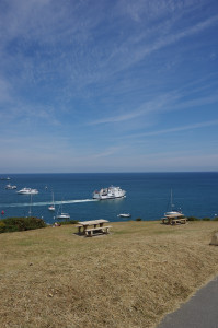 IMGP0975.JPG