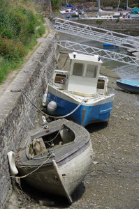 IMGP0977.JPG