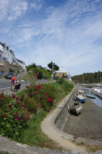 IMGP0978.JPG