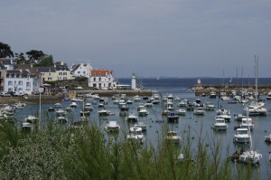 IMGP0979.jpg