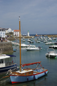 IMGP0980.JPG