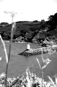 IMGP0995.JPG