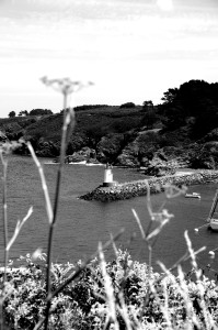 IMGP0996.JPG