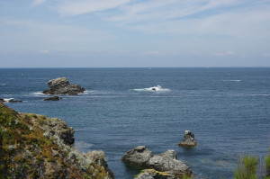 IMGP1005.JPG
