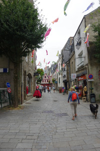 IMGP1043.JPG