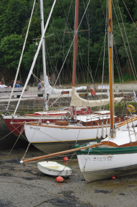 IMGP1054.JPG