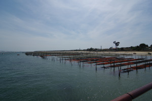 IMGP1103.JPG
