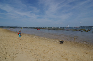 IMGP1106.JPG